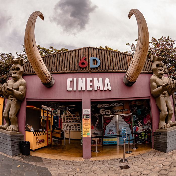 Cine 6D